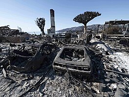 Následky po�ár� v Los Angeles (15. ledna 2025)