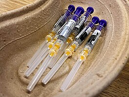 Okování lidí z Hulvácké ulice v ostravském obvodu Jih. V lokalit ádí nákaza...