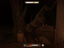 Kingdom Come: Deliverance 2