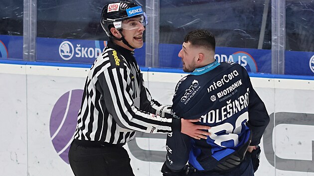 Adri�n Hole�insk� z Plzn� jde na trestnou lavici.