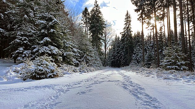 �erstv� zasn�en� cesta mezi Medlovem a Paseckou skalou