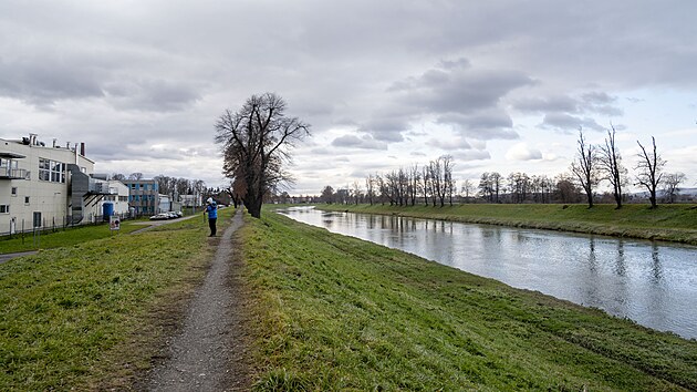 eku Moravu v Uherskm Hraditi by v budoucnu mly peklenout ti mosty. Povede tudy severn obchvat msta. (leden 2025)