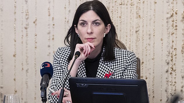 Poslanecká sn�movna seminá� k problematice zahrani�ního vm�ování do volebního...