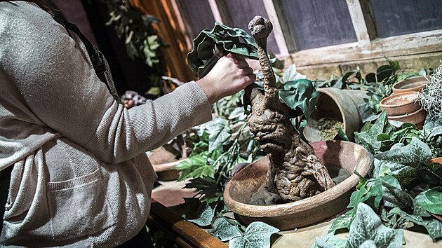 Mandragora z Harryho Pottera na tematick� v�stav� v Pa��i (2015)