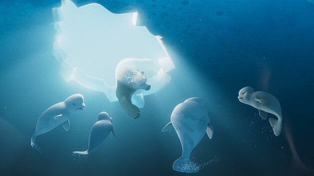 Z filmu Katak: Odv�n� velryba