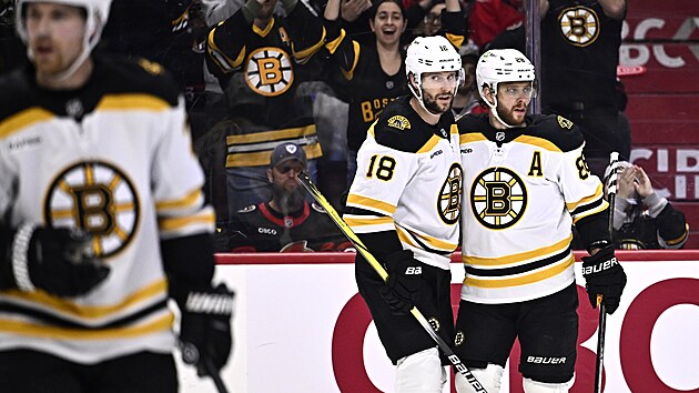 Pavel Zacha (vlevo) slav s Davidem Pastrkem jeho gl do st Ottawy.