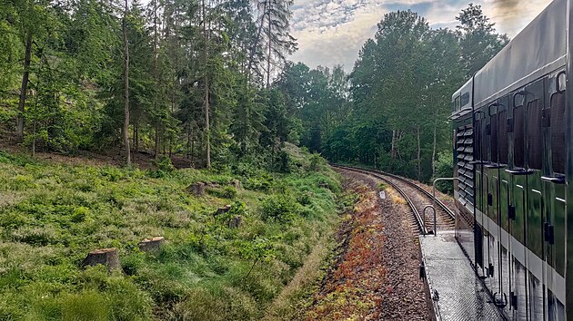 Tra� 222 za Trhov�m �t�p�novem proch�z� lesem.