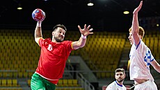 Portugalský házenká� Miguel Martins st�íli v p�ípravném duelu proti �esku.