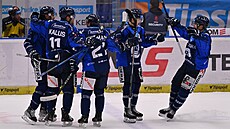 Vítkovická gólová radost proti Litvínovu.