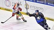 Tomá Mertl z Plzn slaví branku v utkání proti Pardubicím.