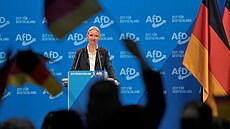 Alternativa pro N�mecko (AfD) si v saské Riese zvolila svou kandidátkou na...