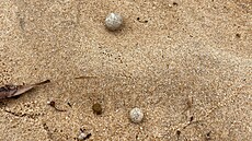 Sydney uzav�elo plá�e, mo�e na n� vyplavilo záhadné kuli�ky. (14. ledna 2025)