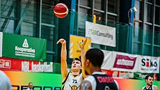 Martin Svoboda z Písku hází �estku v utkání s Nymburkem.