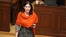 Poslanci rozhodují o zvýení svých plat. (17. ledna 2025)