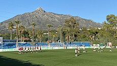 VÝHRA. Fotbalisté Sparty slaví jednu z branek proti Malmö na soust�ed�ní v...