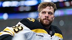 eský útoník David Pastrák v dresu Bostonu