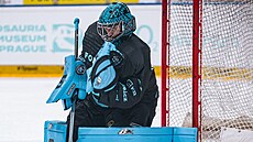 Sparanský gólman Jakub Ková zasahuje v netradiní výstroji pi utkání...