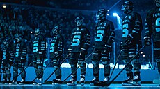 Sparantí hokejisté v netradiní barevné kombinaci pi utkání vnovaném...