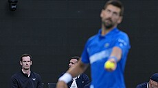 Andy Murray sleduje svého sv��ence Novaka Djokovi�e na Australian Open.