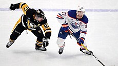 Sidney Crosby se sna�í zastavit Connora McDavida.