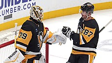 Branká� Alex Nedeljkovic a Sidney Crosby se radují z výhry nad Edmontonem.