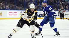 �eský úto�ník David Pastr�ák v akci proti Tamp�.