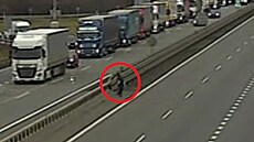 �koláci se sna�ili p�eb�hnout dálnici, z�stali u st�edových svodidel