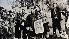 Jugosláv�tí �etnici Dragoljuba Mihailovi�e