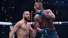 Ji�í Procházka bojuje proti Ameri�anovi Jamahalu Hillovi na turnaji UFC 311 v...