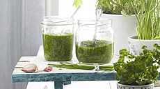 Pa�itkov� pesto