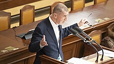 P�edseda ANO Andrej Babi� p�i projednávání vládního návrhu na zvý�ení plat�...