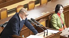 P�edseda ANO Andrej Babi� p�i projednávání vládního návrhu na zvý�ení plat�...