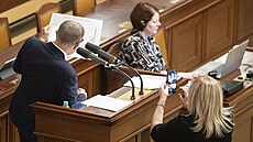 P�edseda ANO Andrej Babi� p�i projednávání vládního návrhu na zvý�ení plat�...