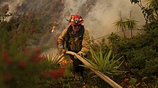 Poáry v okolí Los Angeles se nedaí zastavit (12. ledna 2025)