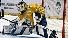 Kladno, 10. 1. 2025. Rytí�i Kladno - Energie Karlovy Vary. Adam Brízgala,...