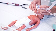 V�rná napodobenina chlape�ka o hmotnosti  pouhých 1100 gram� a délce 35 cm...
