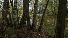 Vedle krásn� barevných tu najdete i spoustu jedlých hub...