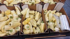 V Tescu v �eské republice jsou zákazník�m mikrotenové sá�ky dostupné zdarma....