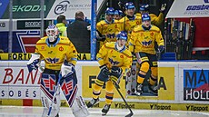 Hokejisté �eských Bud�jovic nastupují k utkání s Kladnem.