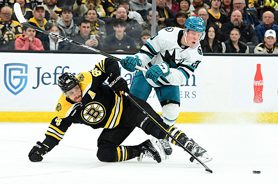 �eský úto�ník David Pastr�ák bojuje o puk s Fabianem Zetterlundem.