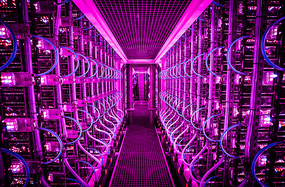 V továrn� na �asy pohán�jí hlu�né modulární jednotky zvané fotobioreaktory....