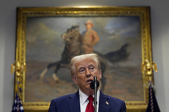 Donald Trump p�i svém projevu. (21. ledna 2025)