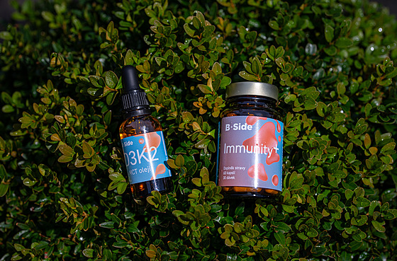 Základem je zdravý ivotní styl: tedy dostatek pohybu, vyváená strava,...