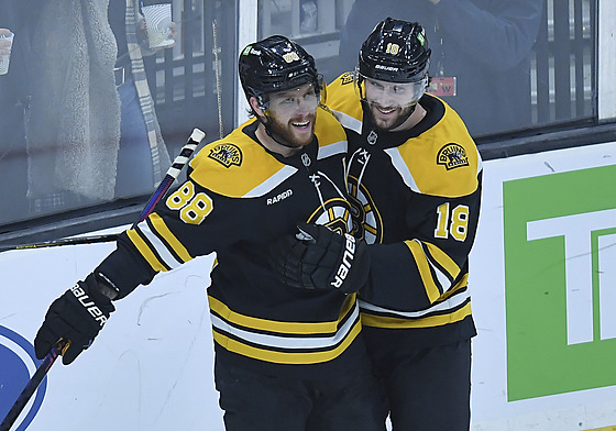 David Pastr�ák (88) a Pavel Zacha (18) oslavují gól Boston Bruins.
