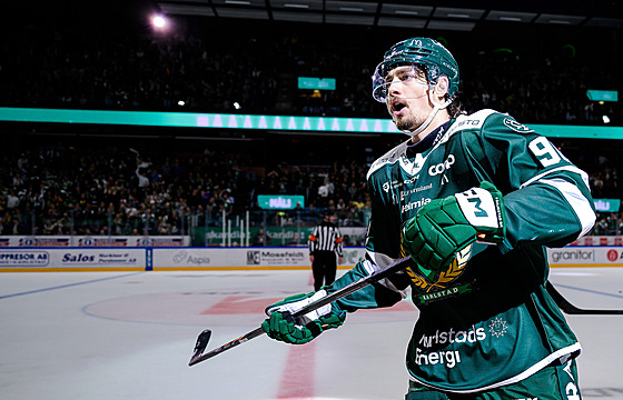 David Tomá�ek z Farjestadu se raduje.