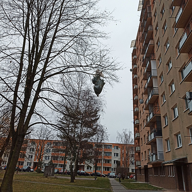 Na sídliti v Otrokovicích zstal na strom viset vánoní stromeek vyhozený z...