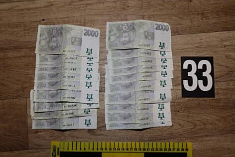 Gang lupi z Ústecka nakradl vci za pt milion korun.