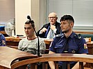 Obalovan Tom Hradeck v jednac sni steckho krajskho soudu (21. ledna...