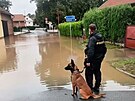 Policist� v povod�ov�ch oblastech nap��klad hl�dkovali, aby nedoch�zelo k...