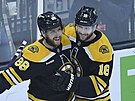 David Pastrák (88) a Pavel Zacha (18) oslavují gól Boston Bruins.